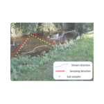 SureScreen Scientifics