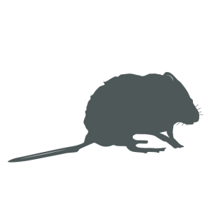 eDNA survey season icon