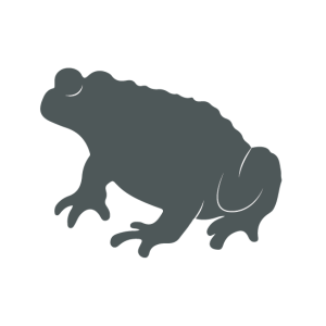 Common Toad icon