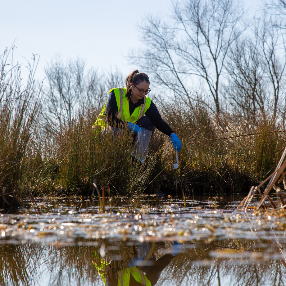 Careers at SureScreen Scientifics